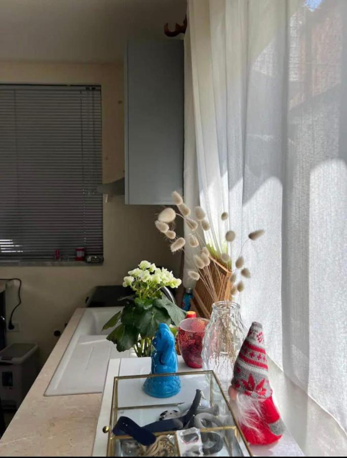 טיראנה Brilant Studio Apartment City Center מראה חיצוני תמונה